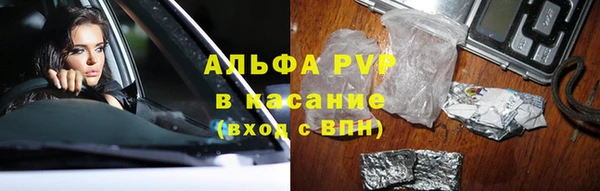 гидра Алексеевка