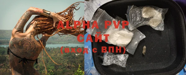 гидра Алексеевка
