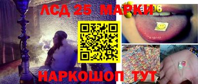 прущие грибы Комсомольск-на-Амуре