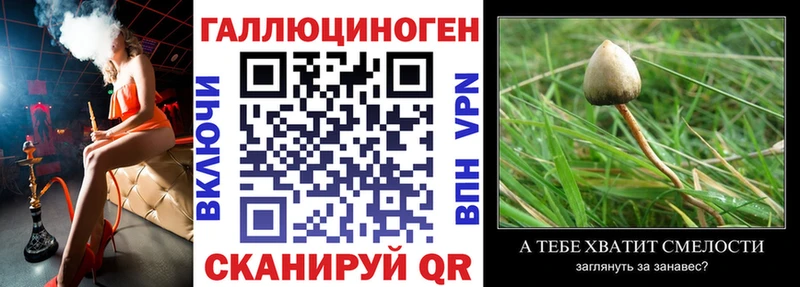 Псилоцибиновые грибы прущие грибы Кропоткин