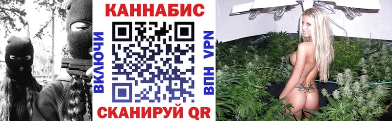 Бошки марихуана семена  Кропоткин 